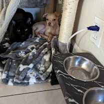 Thumbnail photo of Salem C. #3