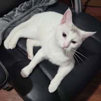 Thumbnail photo of Lizzie #2