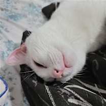 Thumbnail photo of Lizzie #3