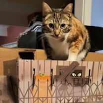 Thumbnail photo of M'Ola 05-4312 #1