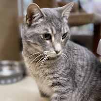 Thumbnail photo of Cedric #1