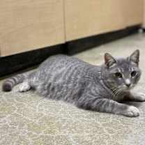 Thumbnail photo of Cedric #2