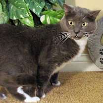 Thumbnail photo of Charlie #3