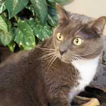 Thumbnail photo of Charlie #4