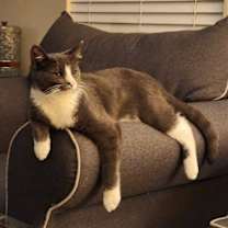Thumbnail photo of Finn #1
