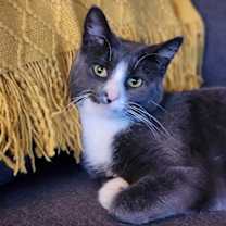 Thumbnail photo of Finn #3