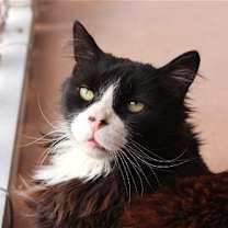 Thumbnail photo of Duncan #1