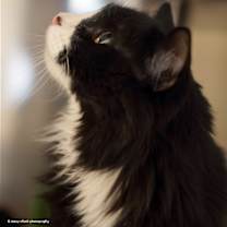 Thumbnail photo of Duncan #3