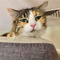 Thumbnail photo of Tarah #4