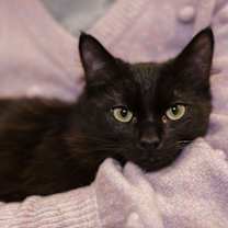 Thumbnail photo of Fernando( Alejandro adopted) #2