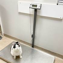 Thumbnail photo of Kevin #2