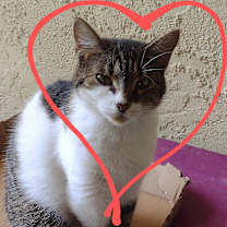 Thumbnail photo of Ellie #1