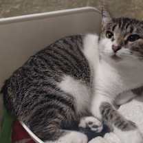 Thumbnail photo of Ellie #3