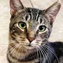 Thumbnail photo of Marbles #3