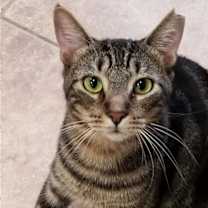 Thumbnail photo of Marbles #4