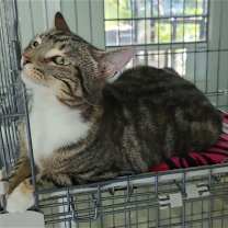 Thumbnail photo of Lola #2