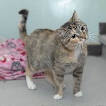 Thumbnail photo of Kelly #1