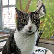 Thumbnail photo of Jerry #1