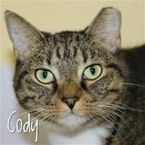 Thumbnail photo of Cody #1