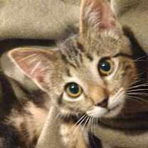 Thumbnail photo of Tuesday!! #3