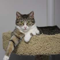 Thumbnail photo of Hannah (sponsored) #1