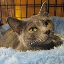 Thumbnail photo of Mandy #2