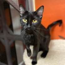 Thumbnail photo of Mable #1