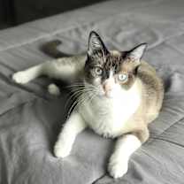 Thumbnail photo of Claire #1