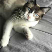 Thumbnail photo of Claire #2