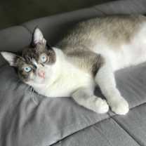 Thumbnail photo of Claire #3