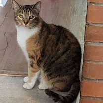 Thumbnail photo of Emma #3