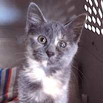 Thumbnail photo of May #3