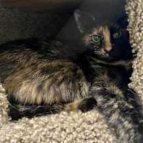 Thumbnail photo of Kay #2