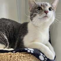 Thumbnail photo of Lil #1