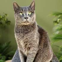 Thumbnail photo of Skeeter #1