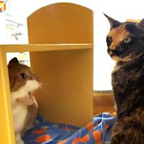 Thumbnail photo of COLTON #3