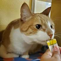 Thumbnail photo of COLTON #2