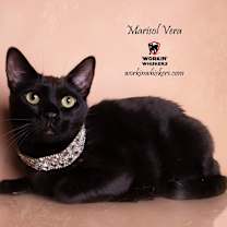 Thumbnail photo of MARISOL VERA #1