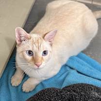 Thumbnail photo of Gary #3