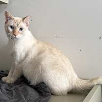 Thumbnail photo of Gary #4