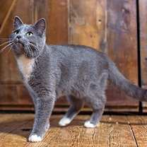 Thumbnail photo of Stormy #2