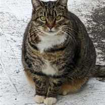 Thumbnail photo of GIGI 2  (COURTESY POST) #2