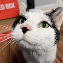 Thumbnail photo of Kevin #4