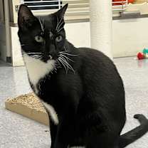 Thumbnail photo of Charlie #2