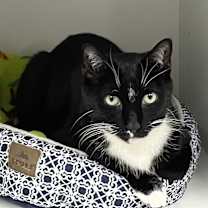 Thumbnail photo of Charlie #3