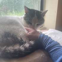 Thumbnail photo of Marco #2