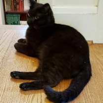 Thumbnail photo of Roada #2