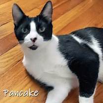 Thumbnail photo of Pancake #3