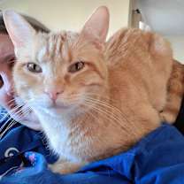 Thumbnail photo of MacGyver #3
