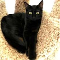 Thumbnail photo of Orbit #2